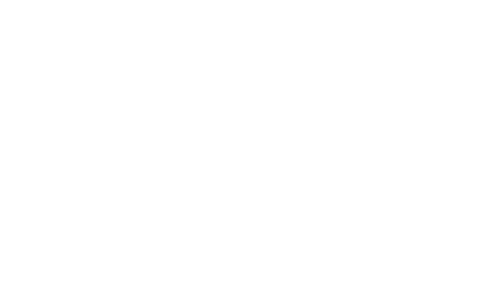 Every Vehicle Lease